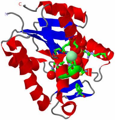 Image Asym. Unit - sites