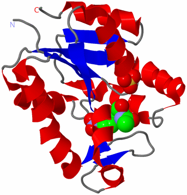 Image Asymmetric Unit