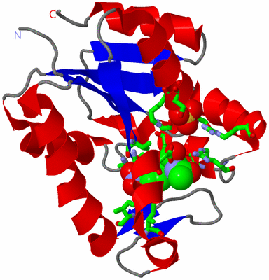 Image Asym. Unit - sites