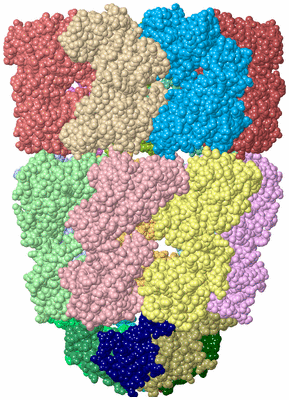 Image Asym./Biol. Unit