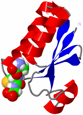 Image NMR Structure - model 1