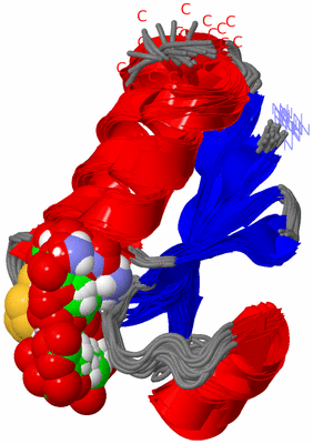 Image NMR Structure - all models