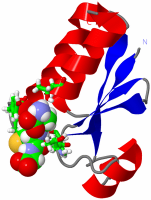 Image NMR Structure - model 1, sites