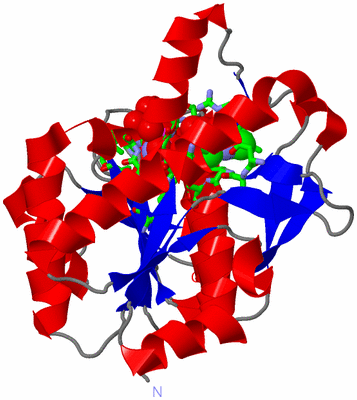 Image Asym. Unit - sites