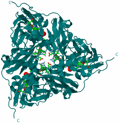 Image Biol. Unit 1 - sites