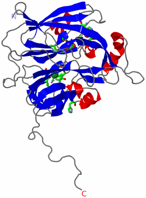 Image Asym. Unit - sites