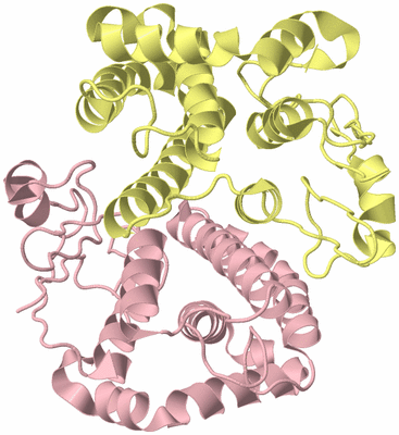 Image Biological Unit 2