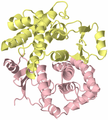 Image Biological Unit 2