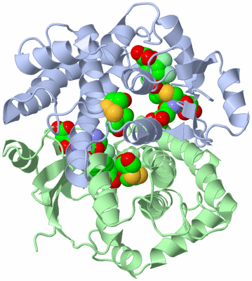 Image Asym./Biol. Unit