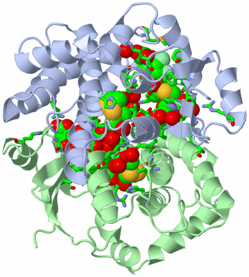 Image Asym./Biol. Unit - sites