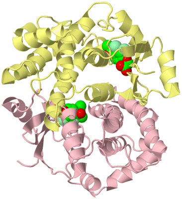 Image Biological Unit 2