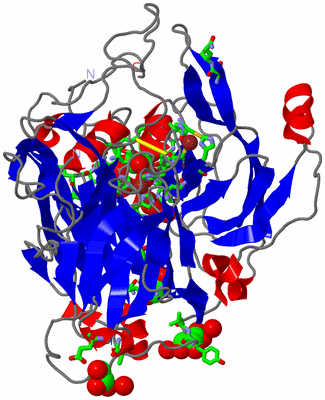 Image Asym./Biol. Unit - sites