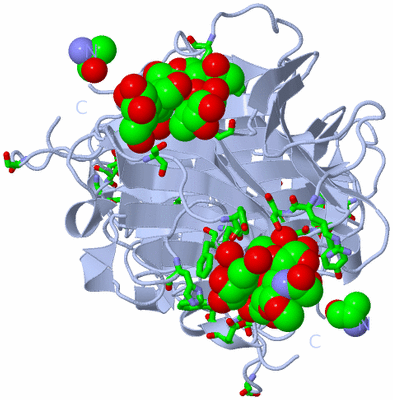 Image Biol. Unit 1 - sites