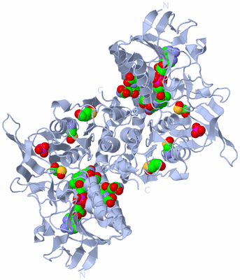 Image Biological Unit 1