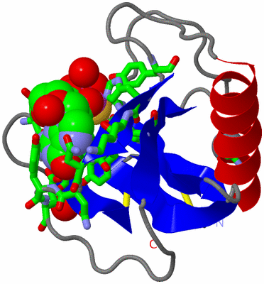 Image Asym./Biol. Unit - sites