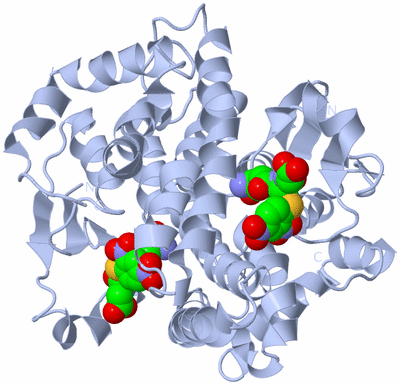 Image Biological Unit 1