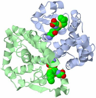 Image Asym./Biol. Unit