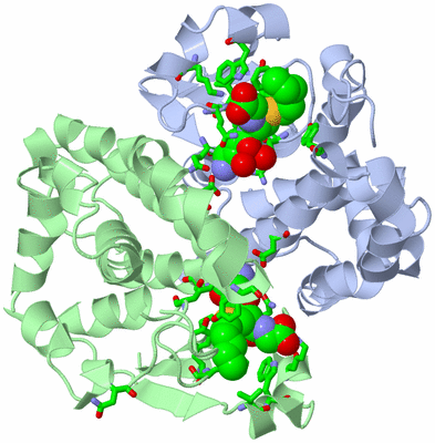 Image Asym./Biol. Unit - sites