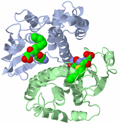 Image Asym./Biol. Unit