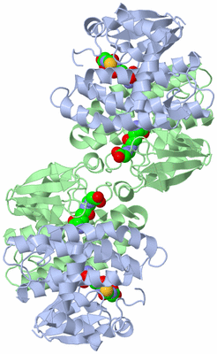 Image Biological Unit 2