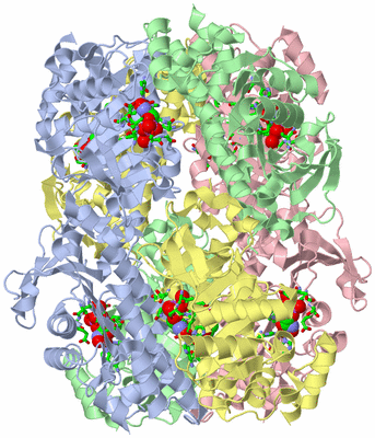 Image Biol. Unit 1 - sites