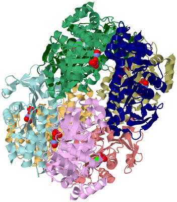 Image Biological Unit 2