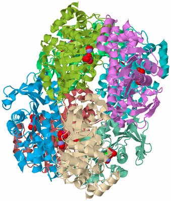 Image Biological Unit 3