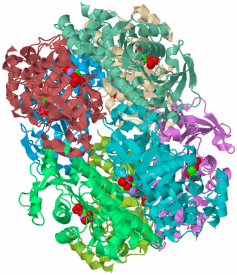 Image Biological Unit 4