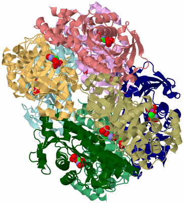 Image Biological Unit 5