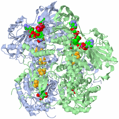 Image Biological Unit 1