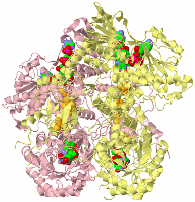 Image Biological Unit 2