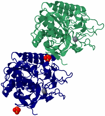 Image Asym./Biol. Unit