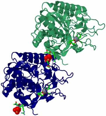 Image Asym./Biol. Unit - sites