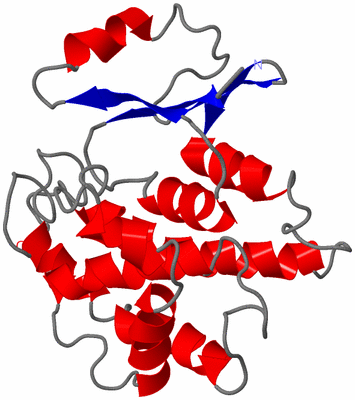 Image Asymmetric Unit