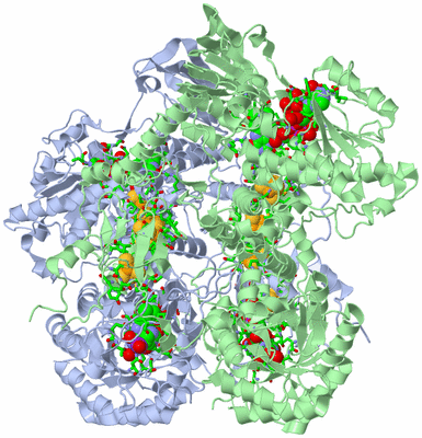 Image Biol. Unit 1 - sites