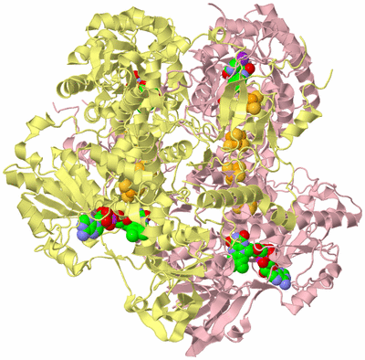 Image Biological Unit 2