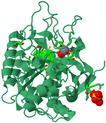 Image Biol. Unit 1 - sites