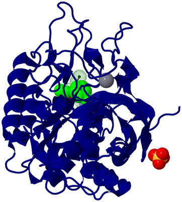 Image Biological Unit 2