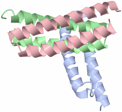 Image Asymmetric Unit