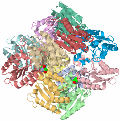 Image Asym./Biol. Unit