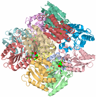 Image Asym./Biol. Unit - sites