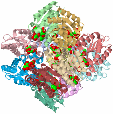 Image Asym./Biol. Unit