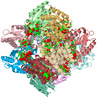 Image Asym./Biol. Unit - sites