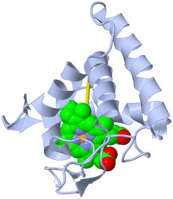 Image Biological Unit 1