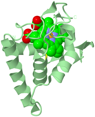 Image Biological Unit 2