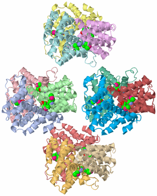 Image Asymmetric Unit