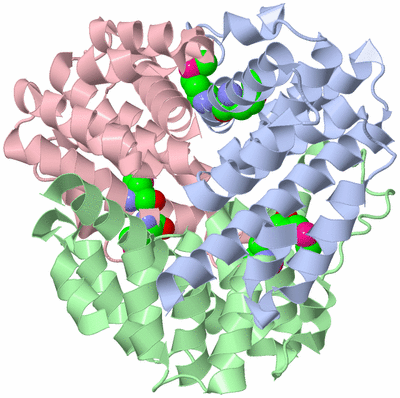 Image Biological Unit 1
