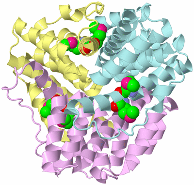 Image Biological Unit 2
