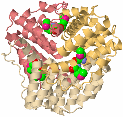 Image Biological Unit 3