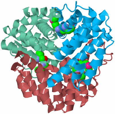Image Biological Unit 4